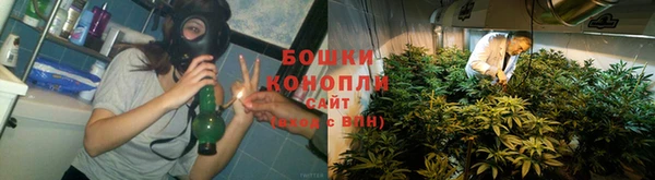 винт Лагань