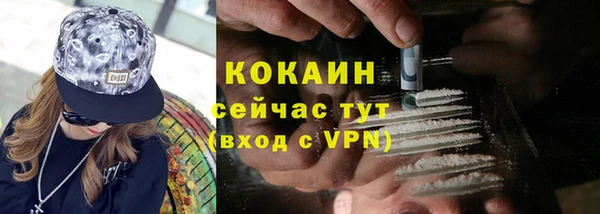 винт Лагань