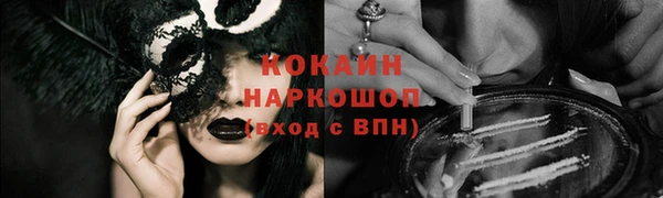 винт Лагань