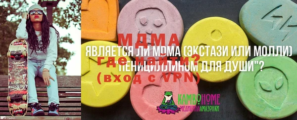 винт Лагань