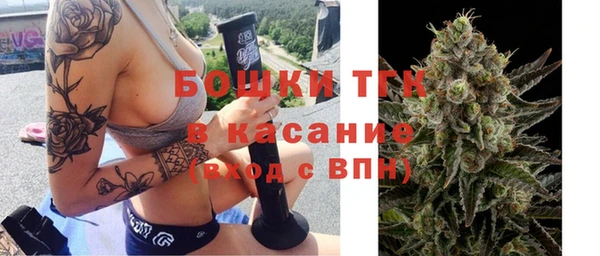 винт Лагань