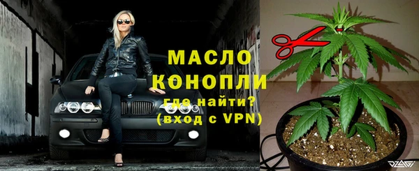винт Лагань
